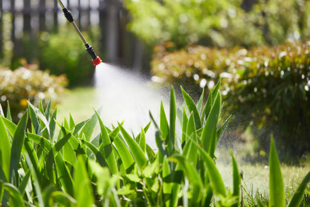 24/7 Emergency Mosquito Control experts in Bonsall, CA
