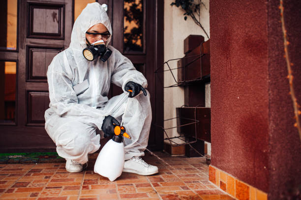 Reliable Mosquito Control contractor in Bonsall, CA by Show Me Pest Control